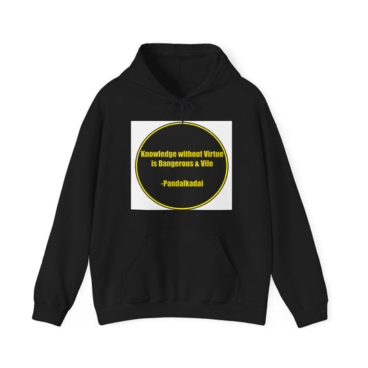 Unisex Heavy Blend™ Hooded Sweatshirt - Knowledge without Virtue is dangerous