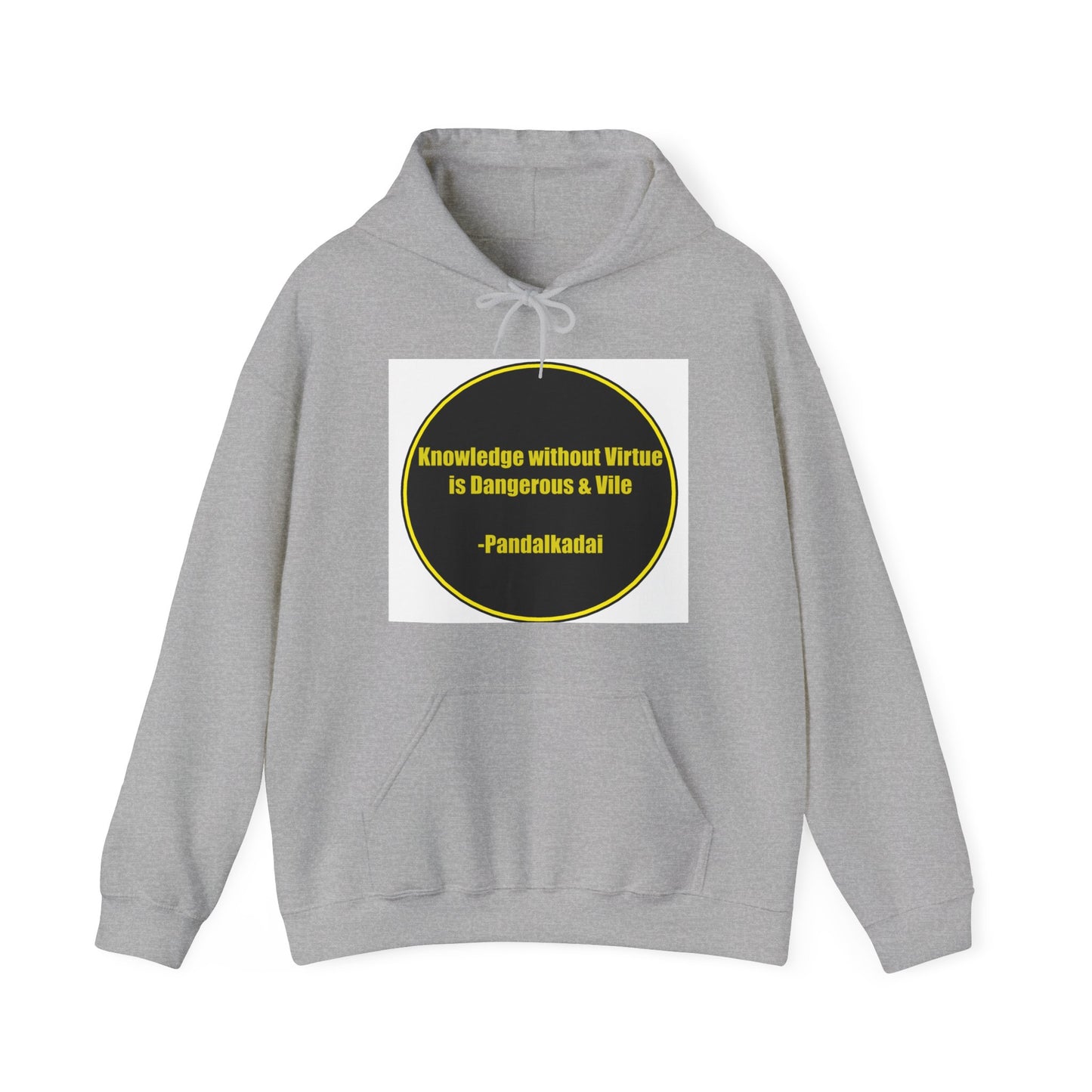 Unisex Heavy Blend™ Hooded Sweatshirt - Knowledge without Virtue is dangerous